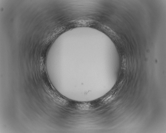 X0000071860318200607290204