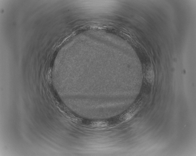 X0000071860319200607290204