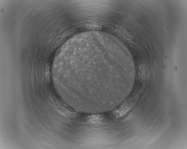 X0000071860320200607290204