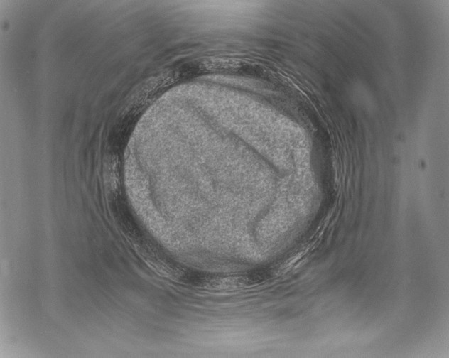 X0000071860323200607290203