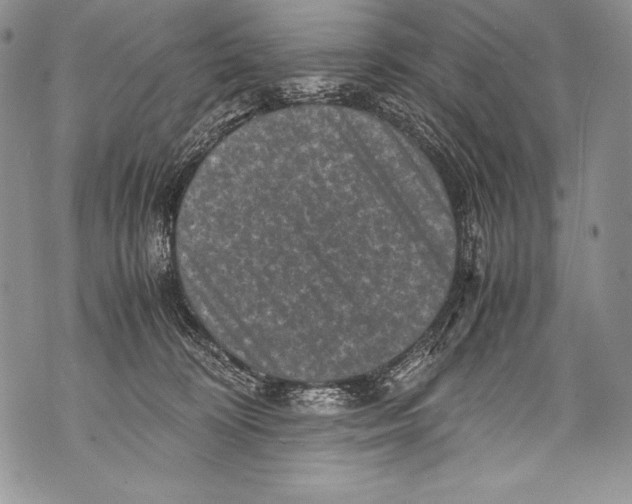 X0000071860324200607290203