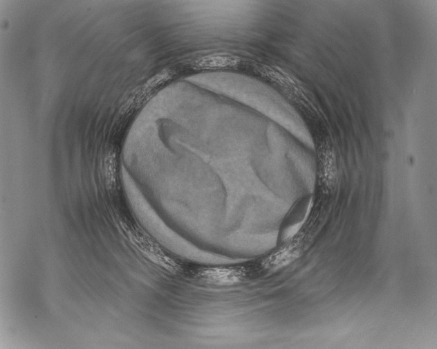 X0000071860326200607290203