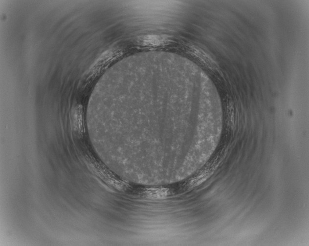 X0000071860328200607290203