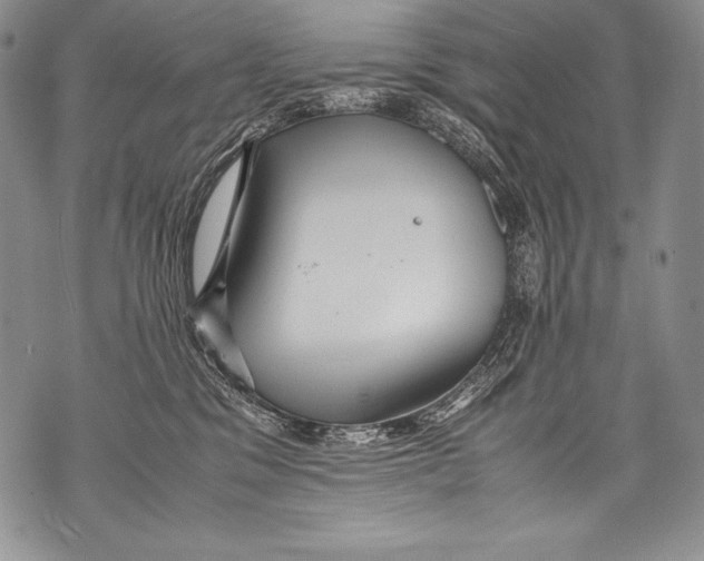 X0000071860329200607290203