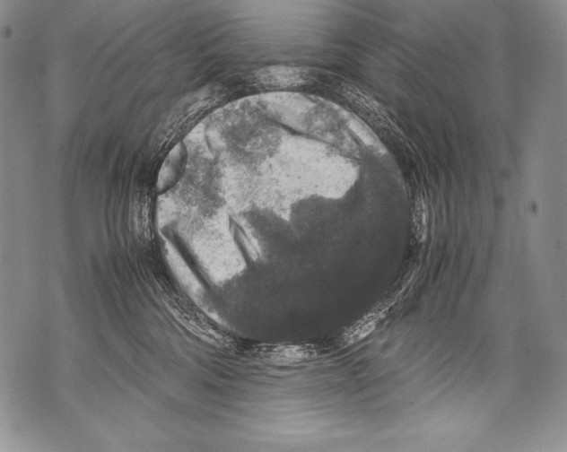 X0000071860330200607290203