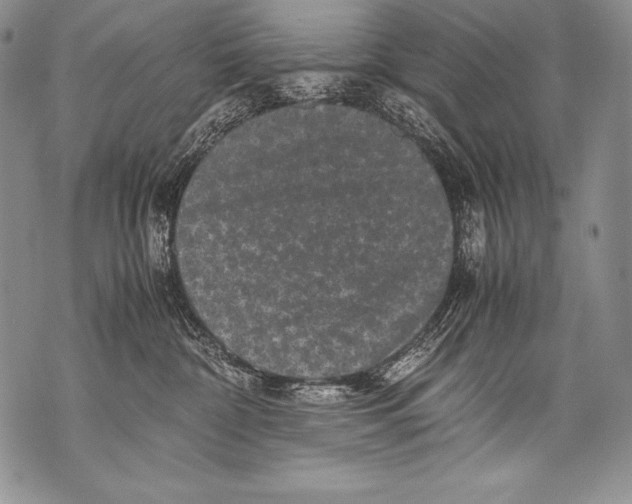 X0000071860332200607290203