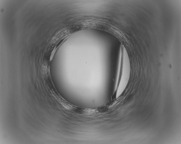 X0000071860333200607290203