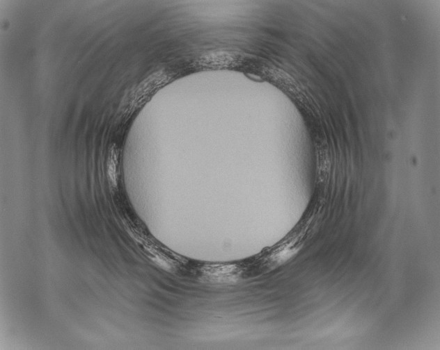 X0000071860334200607290203