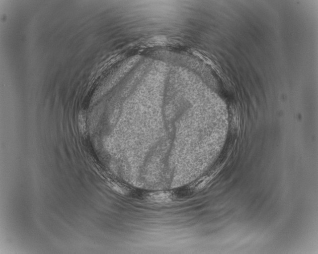 X0000071860335200607290203