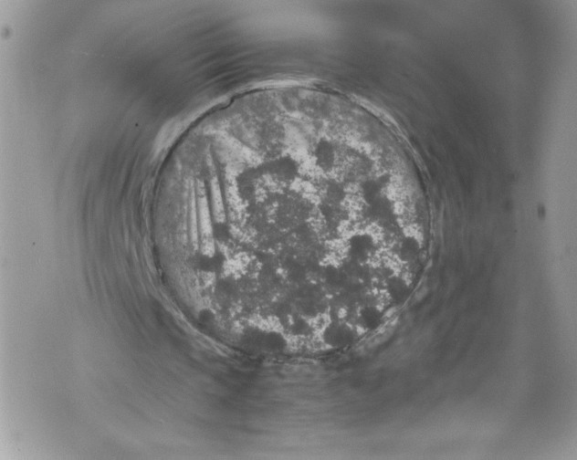 X0000071860337200607290202