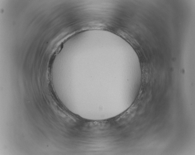 X0000071860338200607290203