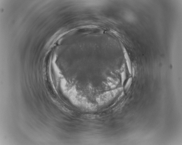 X0000071860339200607290203