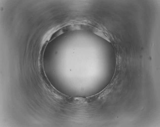 X0000071860340200607290203