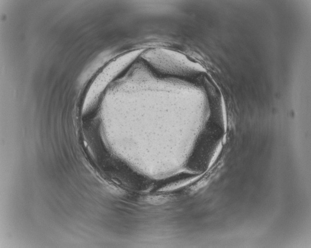 X0000071860341200607290203