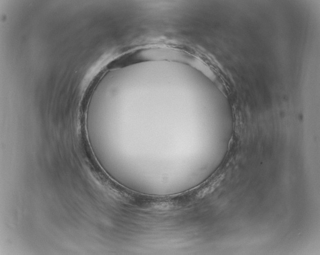 X0000071860344200607290203