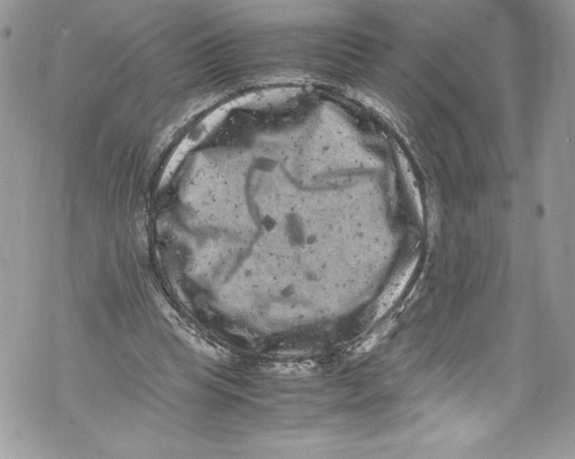 X0000071860345200607290203