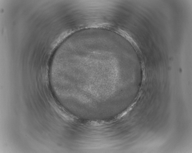 X0000071860346200607290203