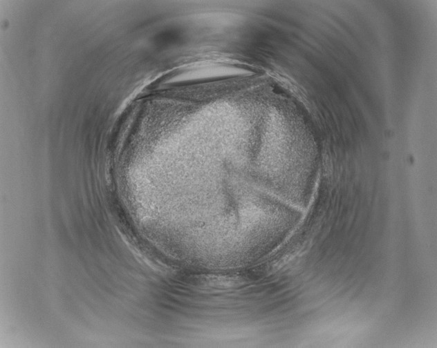 X0000071860347200607290203