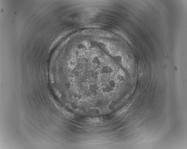 X0000071860349200607290203