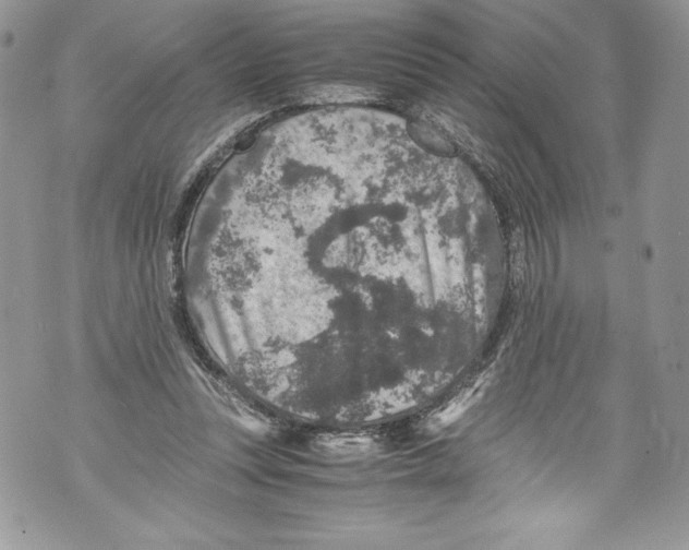 X0000071860351200607290203