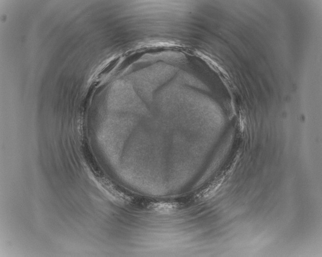 X0000071860352200607290203