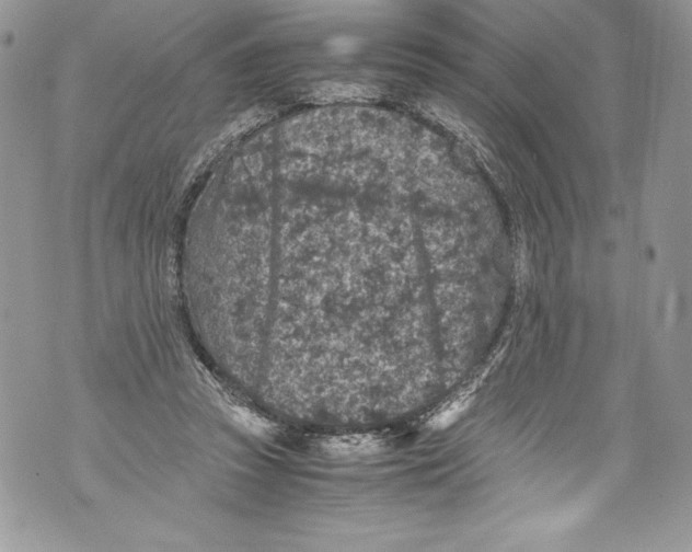 X0000071860353200607290203