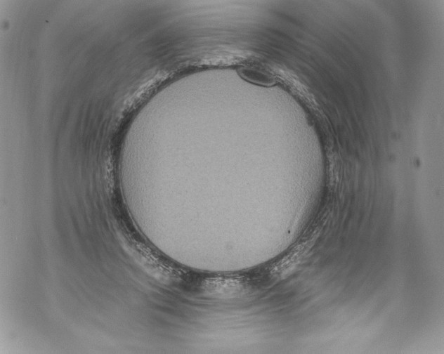 X0000071860354200607290203