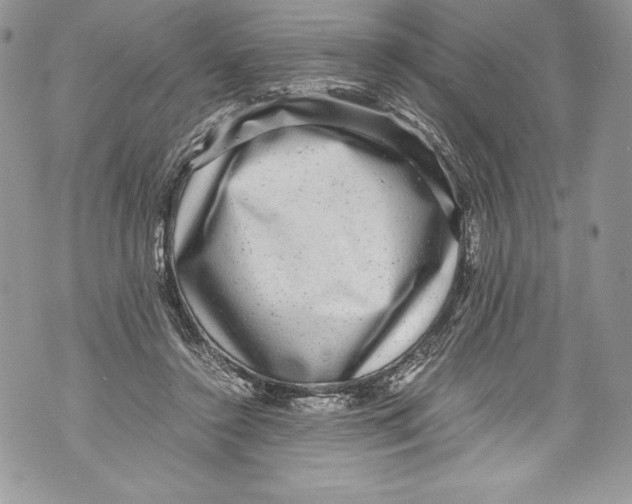 X0000071860356200607290203