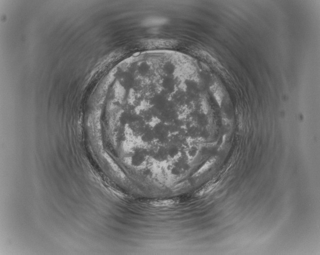 X0000071860357200607290203