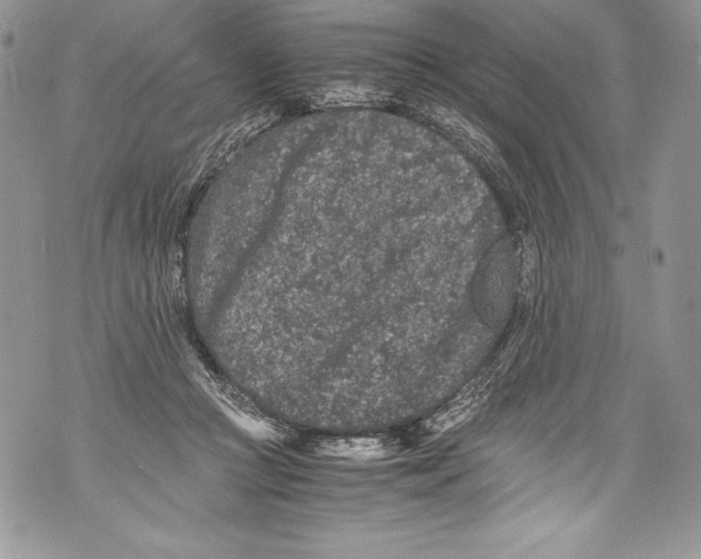 X0000071860361200607290203