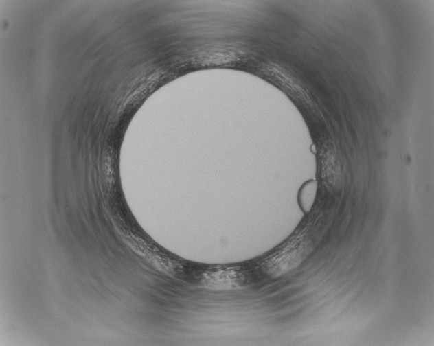 X0000071860362200607290203