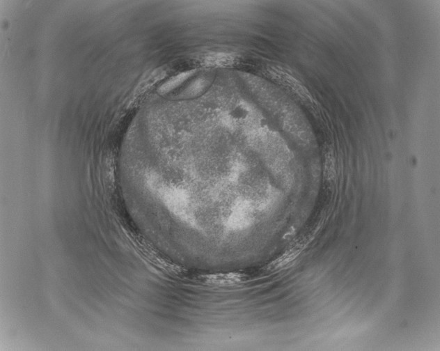 X0000071860363200607290203