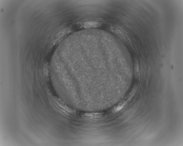 X0000071860367200607290203