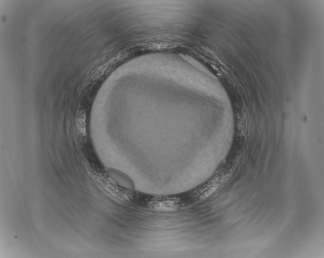 X0000071860368200607290203