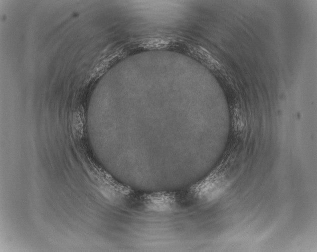 X0000071860370200607290203