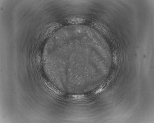 X0000071860371200607290203