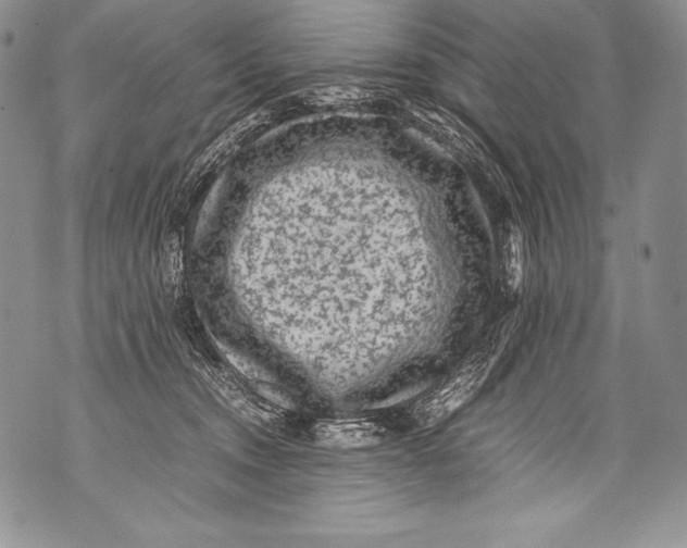 X0000071860372200607290203