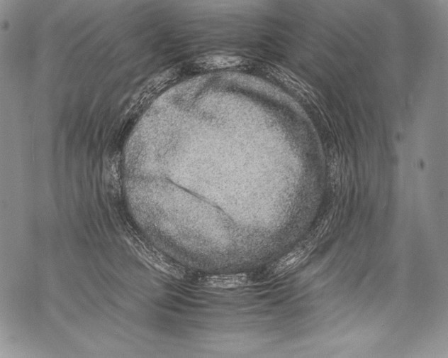 X0000071860373200607290203