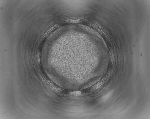 X0000071860374200607290203