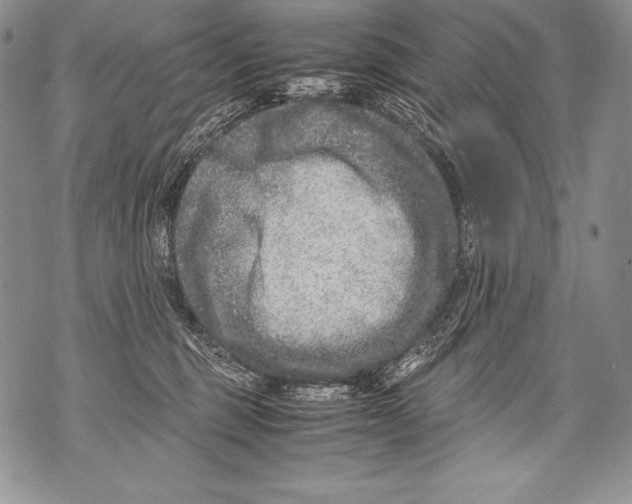 X0000071860375200607290203