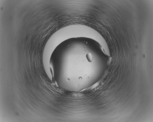 X0000071860376200607290203