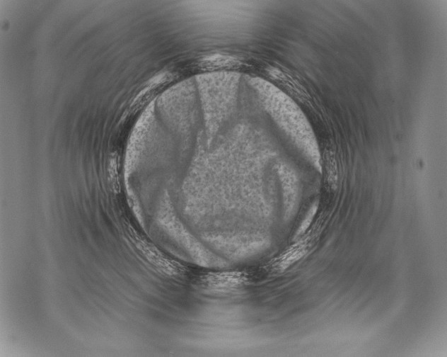 X0000071860378200607290203