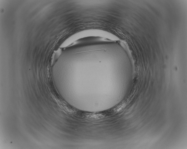 X0000071860379200607290203