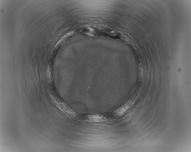 X0000071860380200607290203