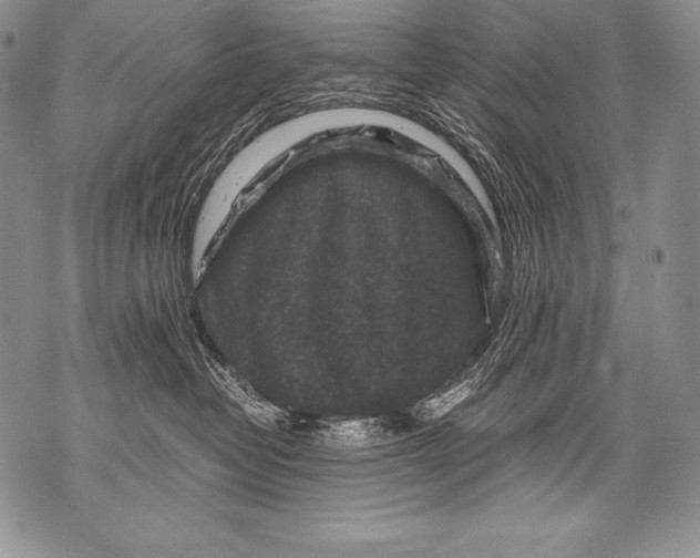 X0000071860382200607290203