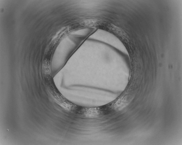 X0000071860384200607290203