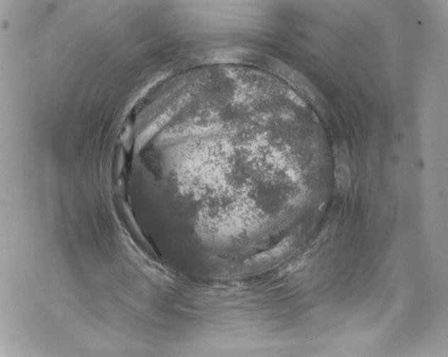 X0000071860386200607290202