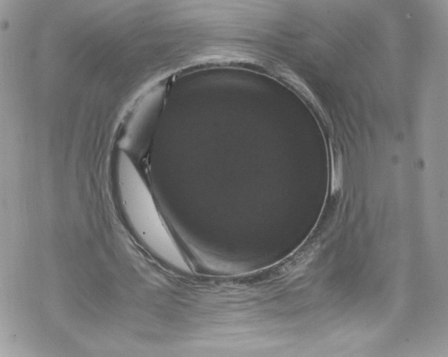 X0000071860387200607290202