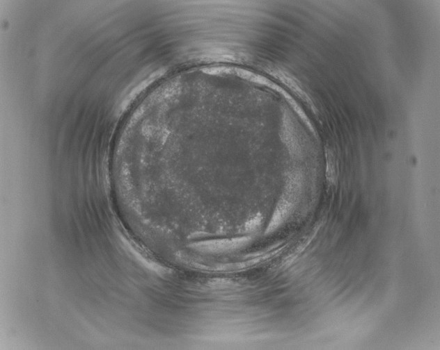 X0000071860390200607290202