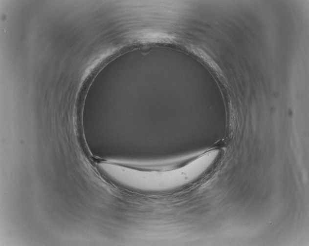 X0000071860391200607290202